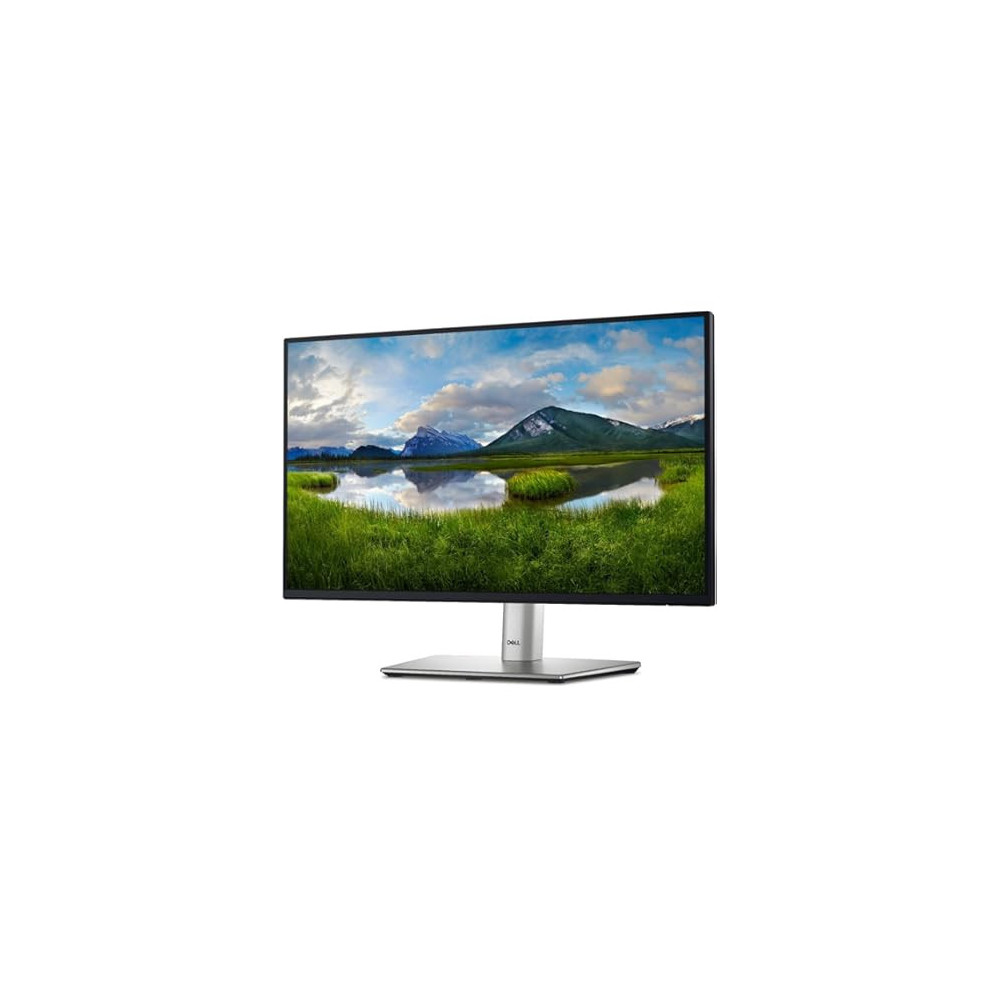 Monitor 24P DELL P2422H