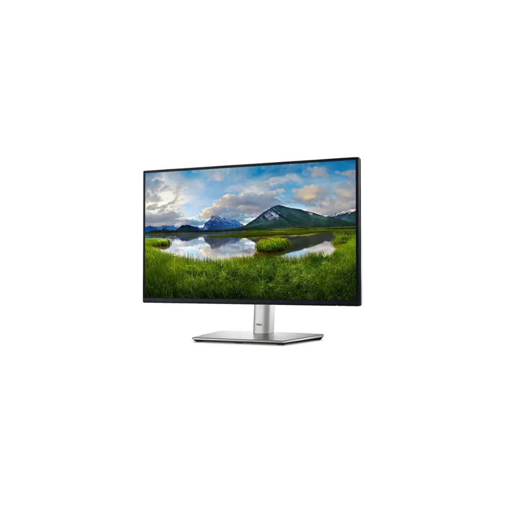 Monitor 24P DELL P2422H